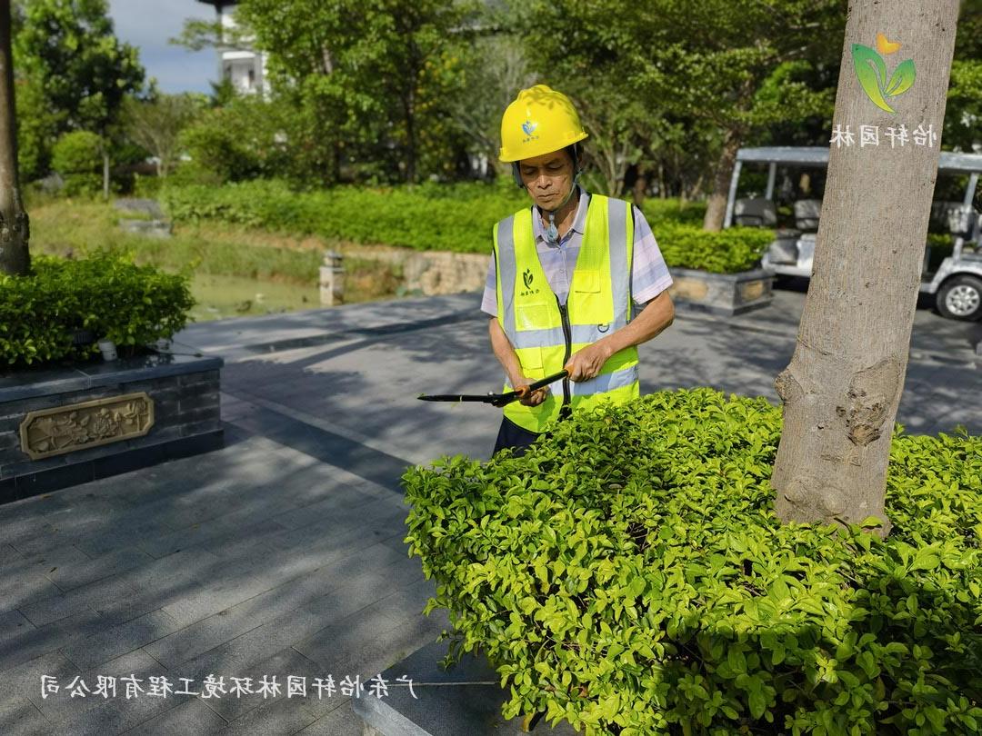 欢迎访问十大电子网址养护人员正在修剪